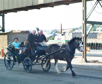 Séamus Nolan:  Dock tour , 2008, Cork Docklands; photo / courtesy Dara McGrath / NSF